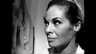 11646 pussy porn videos